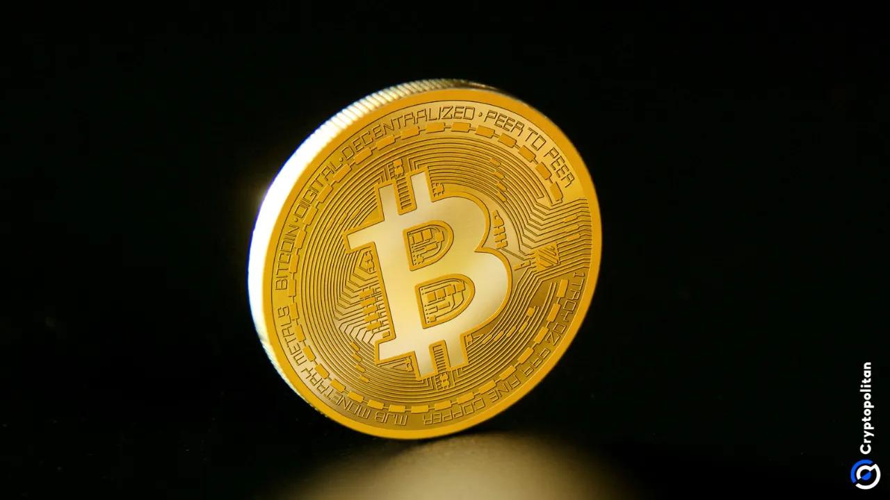 小罗伯特·F·肯尼迪:比特币——美国中产阶级的货币自由